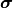\bm \sigma