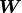 \bm{W}