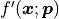 f'(\bm{x}; \bm{p})