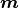 \bm{m}